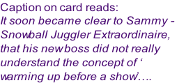 Caption on card reads:
It soon became clear to Sammy - 
Snowball Juggler Extraordinaire, 
that his new boss did not really 
understand the concept of ‘
warming up before a show’….
